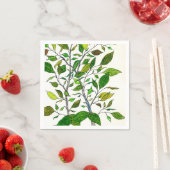 Ficus-Pflanze Farbstift Baum Zeichnung Serviette (Beispiel)