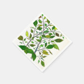 Ficus-Pflanze Farbstift Baum Zeichnung Serviette (Ecke)