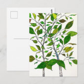 Ficus-Pflanze Farbstift Baumzeichnung  Postkarte (Vorne/Hinten)