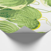 Ficus Pflanze Geschenkpapier (Ecke)
