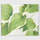 Ficus Pflanze Geschenkpapier (Flach)