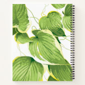 Ficus Pflanze Notizblock (Rückseite)