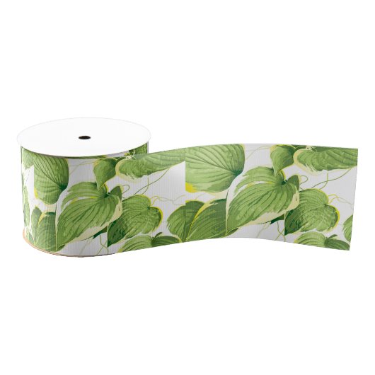 Ficus Pflanze Ripsband (Spule)