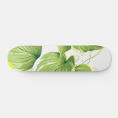 Ficus Pflanze Skateboard (Horizontal)