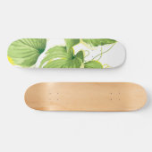 Ficus Pflanze Skateboard (Horizontal)