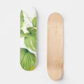 Ficus Pflanze Skateboard (Vorderseite)