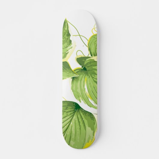 Ficus Pflanze Skateboard (Vorne)