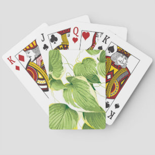 Ficus Pflanze Spielkarten