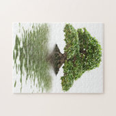 Ficusbonsais Puzzle (Horizontal)