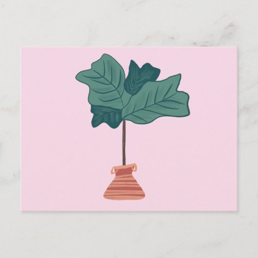Fiddle Fig Tree Grüne gepunktete Pflanze Rosa Postkarte (Vorderseite)