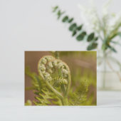 Fiddlehead Fern Heart Foto Postkarte (Stehend Vorderseite)