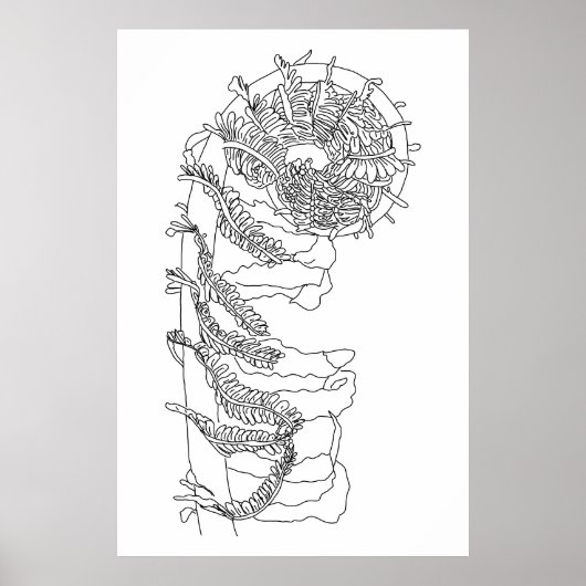 Fiddlehead Fern Illustration Poster (Vorne)