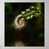 Fiddlehead Fern Poster (Vorne)