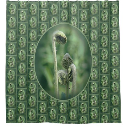 Fiddlehead Ferns Nature Pattern Duschvorhang (Vorderseite)
