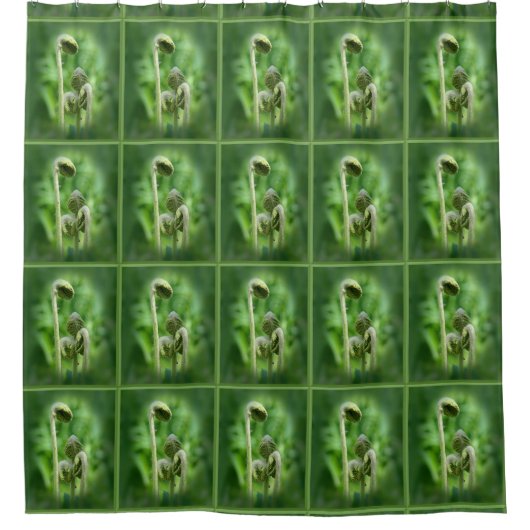 Fiddlehead Ferns Nature Pattern Duschvorhang (Vorderseite)