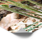 Fiddlehead Ferns Spring Nature #4 Poster (Ecke)