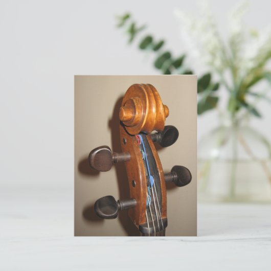 Fiddlehead-Postkarte Postkarte (Stehend Vorderseite)