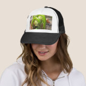 Fiddleheads Truckerkappe (Beispiel)