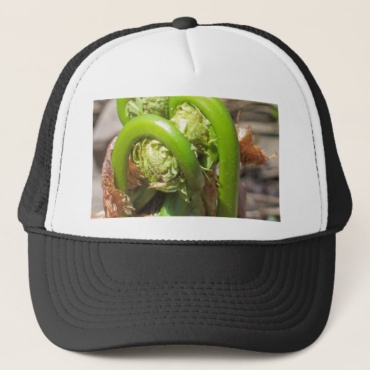 Fiddleheads Truckerkappe (Vorderseite)
