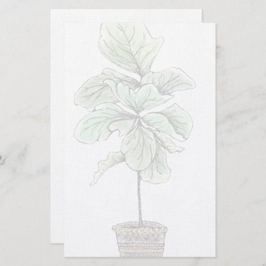 Fiddleleaf Fig Illustriert Blank Briefpapier (Vorne/Hinten)