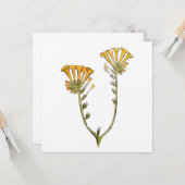 Fiddleneck Karte (Vorderseite/Rückseite Beispiel)