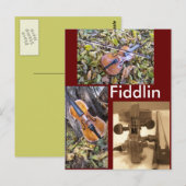 fiddlin fanatische Postkarte (Vorne/Hinten)