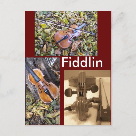fiddlin fanatische Postkarte (Vorderseite)