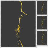 Fidel Castro, Presidenz, Revolution, Kuba, Havanna Aufkleber (Vorderseite)