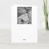 Fidelia Bridges Dankeskarte (Rückseite)