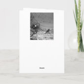 Fidelia Bridges Dankeskarte (Rückseite)