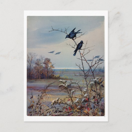 Fidelia Bridges Feiertagspostkarte (Vorderseite)