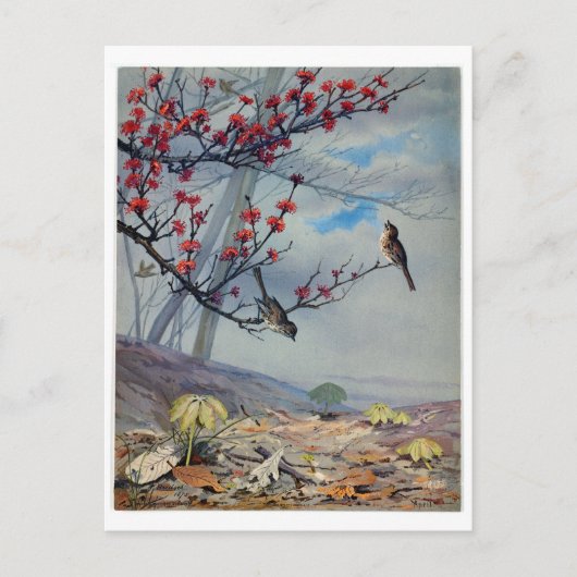 Fidelia Bridges Feiertagspostkarte (Vorderseite)