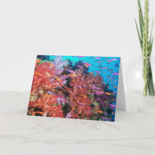 Fidschi-Farbspritzen Karte