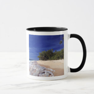 Fidschi-Inseln, Tavarua. Dieser Strand auf Tavarua Tasse