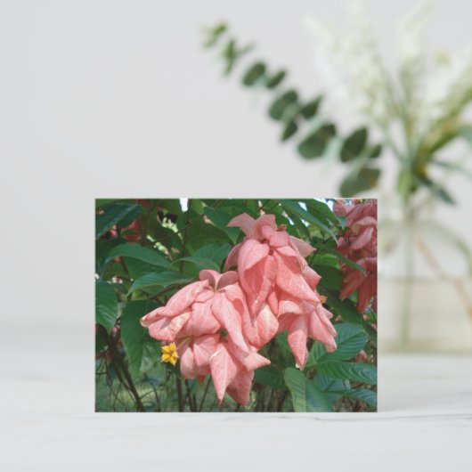 Fidschi-Rosa und Gelbe Blume Postkarte (Stehend Vorderseite)