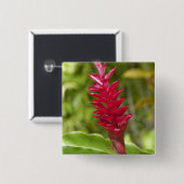 Fidschi, Viti-Levu-Insel. Blume. Button (Vorne & Hinten)