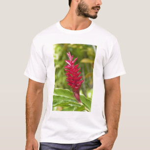 Fidschi, Viti-Levu-Insel. Blume. T-Shirt