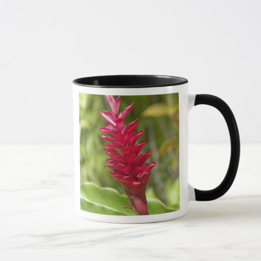 Fidschi, Viti Levu Island. Blume. Tasse (Rechts)