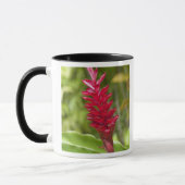 Fidschi, Viti Levu Island. Blume. Tasse (Links)