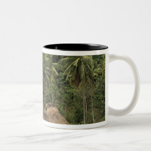 Fidschi, Viti Levu, Navala, traditionelle Bure-Häu Zweifarbige Tasse