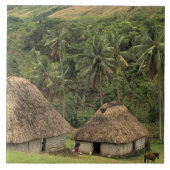 Fidschi, Viti Levu, Navala, traditionelle Häuser d Fliese (Vorderseite)
