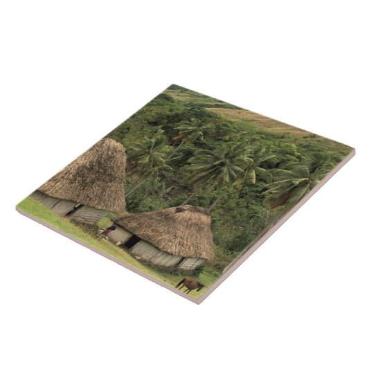 Fidschi, Viti Levu, Navala, traditionelle Häuser d Fliese (Seite)