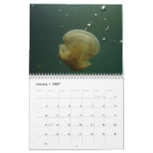 Fidschi - Wandkalender eines Tauchers des (Jan 2027)