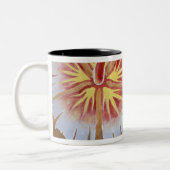 Fidschi, Wandkunst. Zweifarbige Tasse (Links)