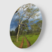 Fieberbaum (Acacia Xanthophloe) durch Scheitelspur Große Wanduhr (Winkel)