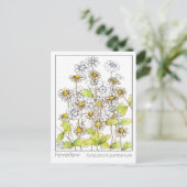 Fieberwenige Materia Medica Kräuterstudie Postkarte (Stehend Vorderseite)