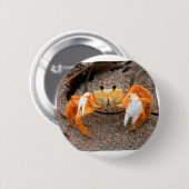 Fiedler-Krabbe auf Strand Colorized Orange Button (Vorne & Hinten)