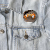 Fiedler-Krabbe auf Strand Colorized Orange Button (Beispiel)