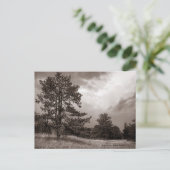 Field and Tree Foto, Hudson, New York Postkarte (Stehend Vorderseite)