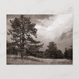Field and Tree Foto, Hudson, New York Postkarte